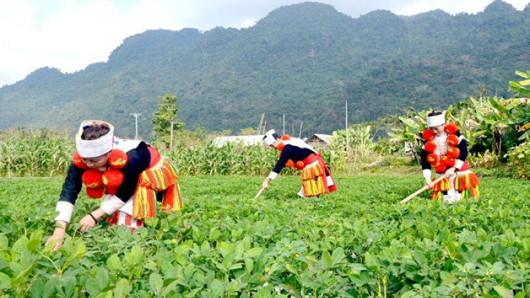 Láng tẩy coiz thiuz lái pliào kuaz nhây coz lầy tzình púng nhàn