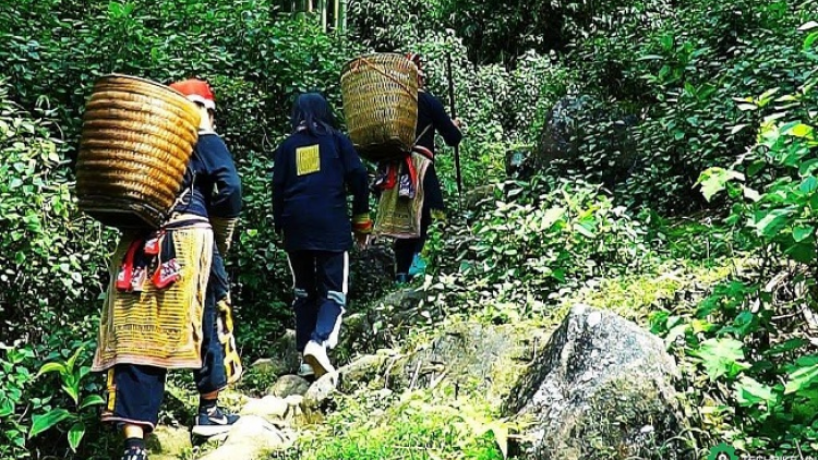 Lầy tzình páo dung chủ nhật hoi 24/1/2021