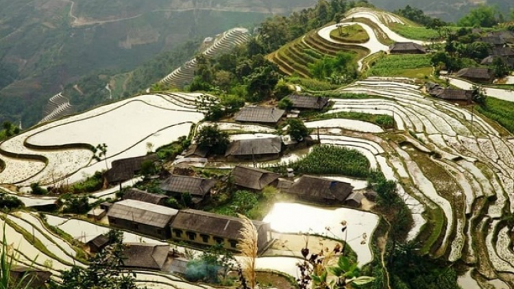 Phai paz nhây phiến