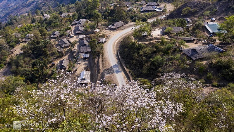 Phai paz nhây phiến