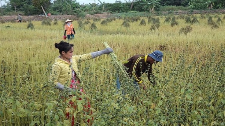 Lầy tzình phát sinh ìu miền vả thứ 3 hoi 25/5/2021