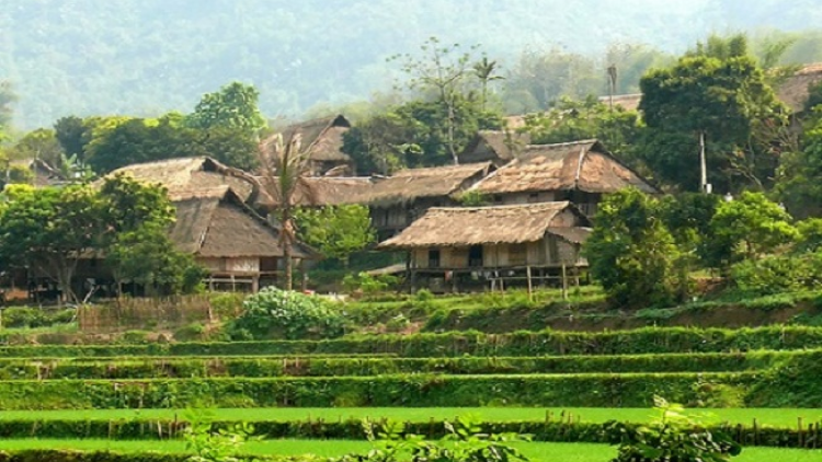 Phai paz nhây phiến