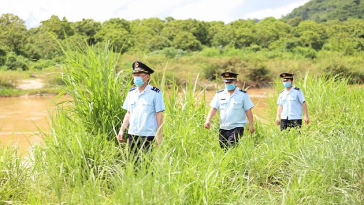 Phai paz nhây phiến