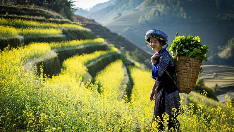 Phai paz nhây phiến