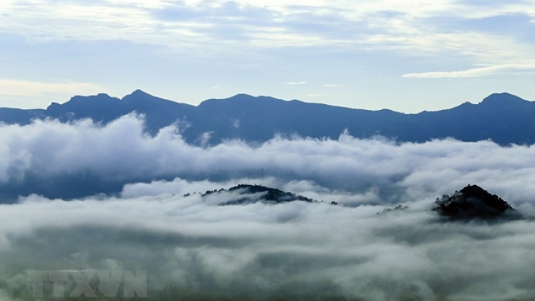 Phai paz nhây phiến