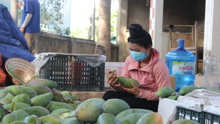 Lầy tzình phát sinh ìu miền vả thứ 6 hoi 28/5/2021