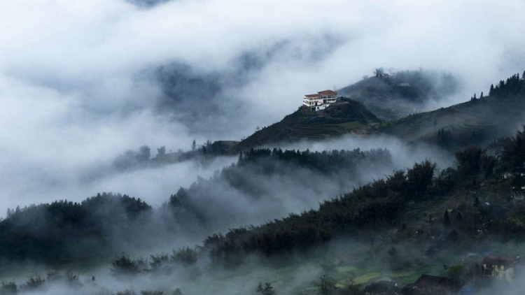 Phai paz nhây phiến