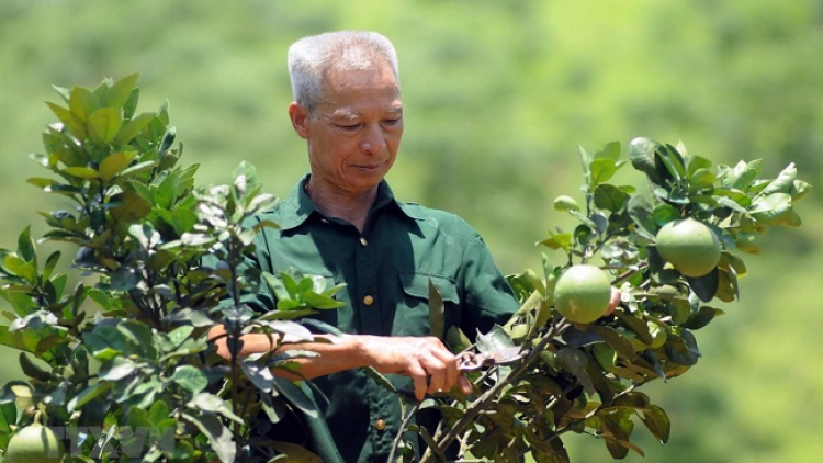 Cựu chiến binh ừu miền quýa pliát chổm khâuz lái tzấu vỉnh – tzuống điáng