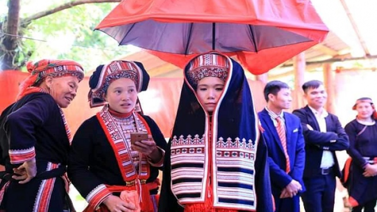 Lầy tzình páo dung thứ 3 hnoi 9.8.2022