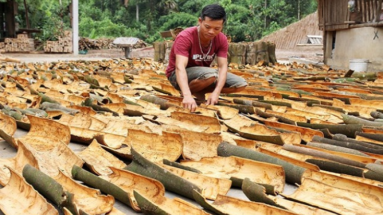 Coz nhủng cành tzuống mải tuz chá thính miền màn Lào Cai hội nhập tzuống lùng điaz