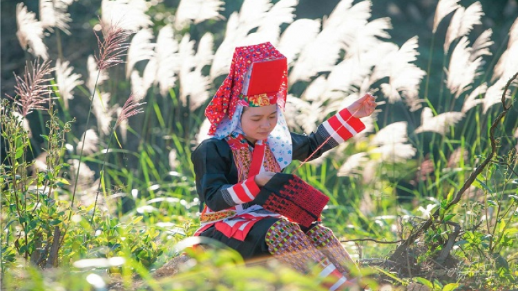 Lầy tzình páo dung thứ 6 hoi 26/8/2022