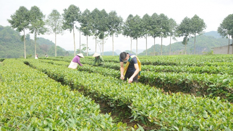 Lầy tzình phát sinh ìu miền vả thứ 3 hnoi 12.4.2022