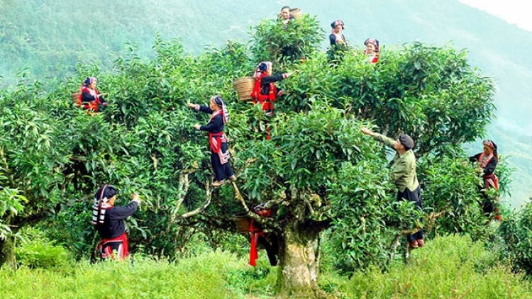 Lầy tzình phát sinh ìu miền vả thứ 3 hoi 04/10/2022