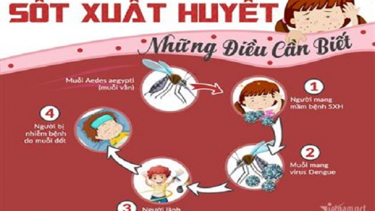 Càn bùng tangz pảnh sốt xuất huyết can  can WHO nhây chaoz búa