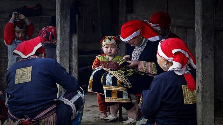 Lầy tzình páo dung thứ 3 hoi 12/7/2022