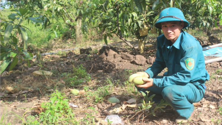 Daknông dŭm êtuh tôn boh suai tuh hwiê hĕ kyua amâo mâo mnuih blei ôh