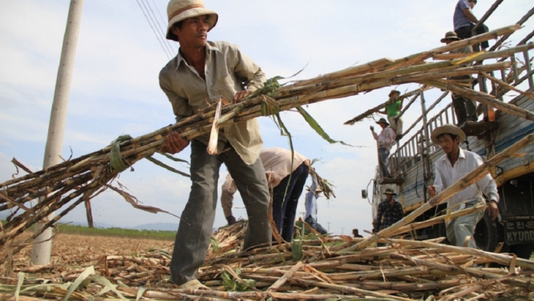 Mnuih [uôn sang Gia Lai akâo ho\ng Quốc hội bi mâo hdră msir mghaih kơ kbâo
