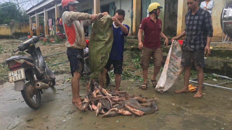 Daklak: Anôk rông kan tầm soh ho\ng hdra\ bhia\n ti Krông Bông  rai jih kyua adiê hjan ang^n êbu\
