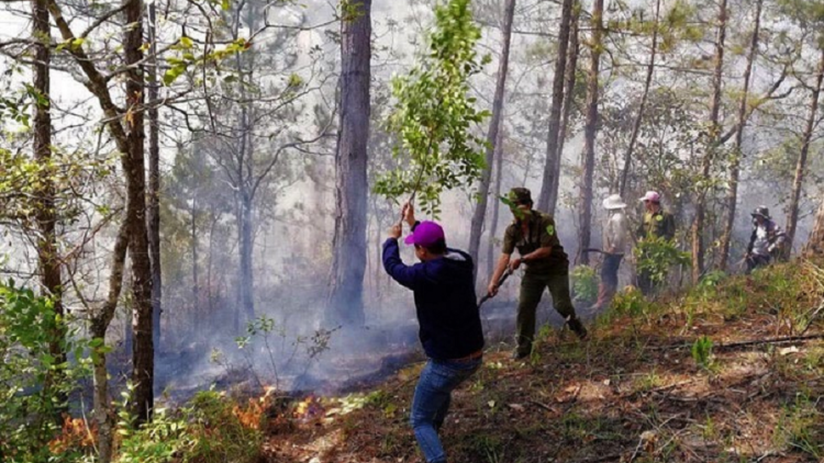 Lâm Đồng pơtrut kơtang bruă pơgang apui [ong glai bơyan phang