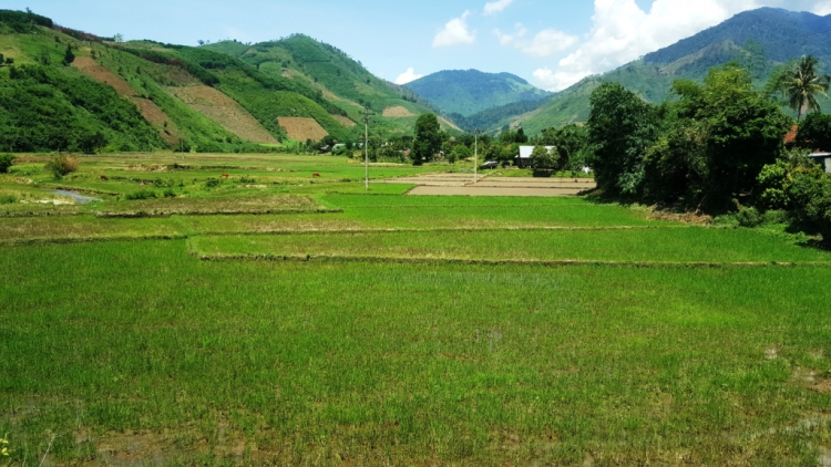 Bơblih phrâo [ơi plơi pla anih hơkru\ Krông Bông, Daklak