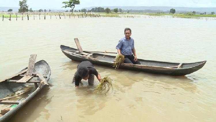 Lu dơnao hnoh ia [ơi Gialai [u pơhlôm kơja\p