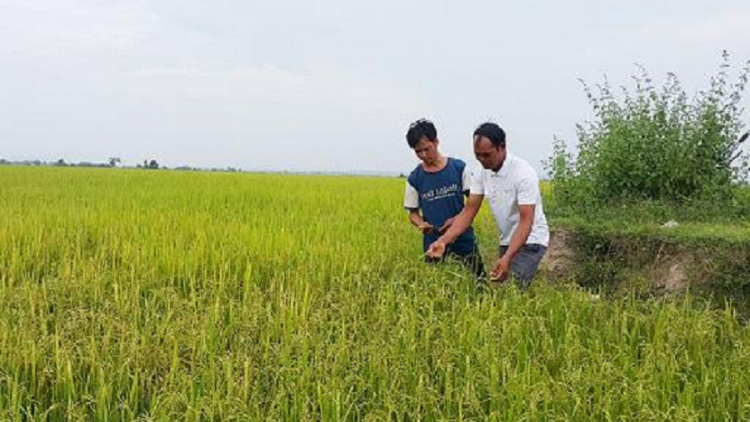 Hơbô| bruă ‘’Sa c\ô ping gah djru sa boh sang ano\ [un rin’’ [ơi  Ia Piar-Gialai