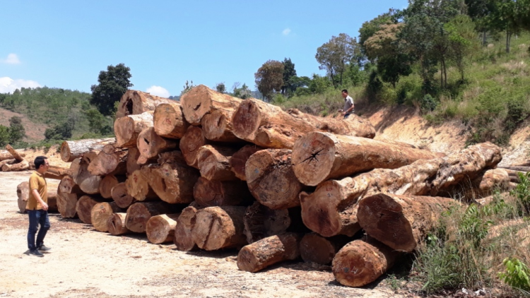 Kontum: Kyâo pơtâo arăng dop uă [ơi glai pơgang kjăp hloh