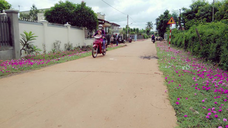 Daklak: Pơplih phrâo mơng hơdôm arăt jơlan ‘’Tơlơi pơmin mơng Ping gah djơ\ pran ană plơi’’