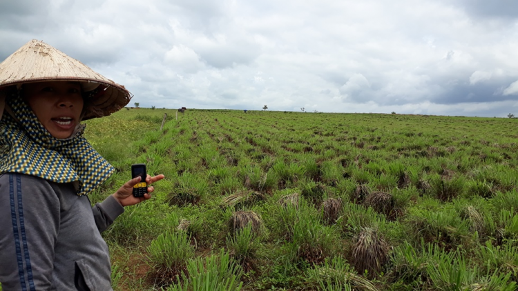 Daklak: Gru\p LEG kual asuek e\p jơlan pơtlaih [un rin