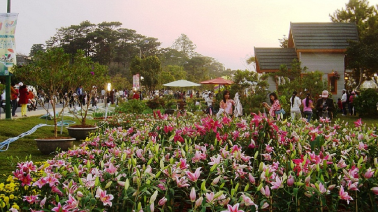 Bruă ngă hmua pơgôp hrom pơđ^ kyar tuai ]uă ngui [ơi Đà Lạt-Lâm Đồng