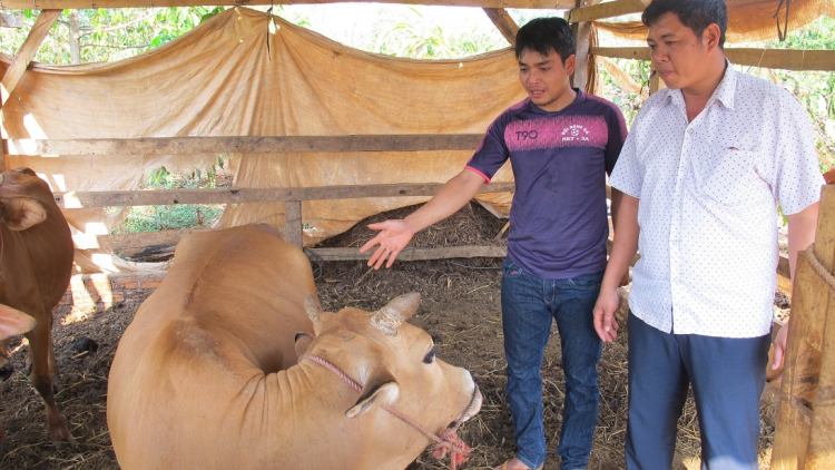 Daklak: Pran kơtang mơ\ng hlăk ai [ơi să kual ataih Ea Wy