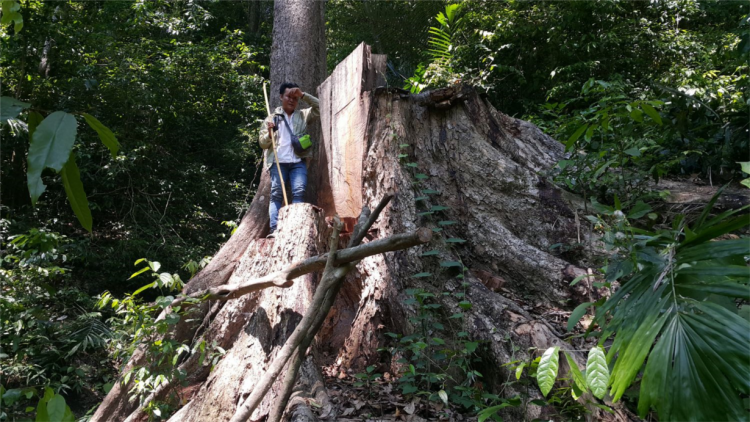 Brak brai abih kông nga\n yôm tu] rơnu] mơng dlai tha }ư\ Siăng