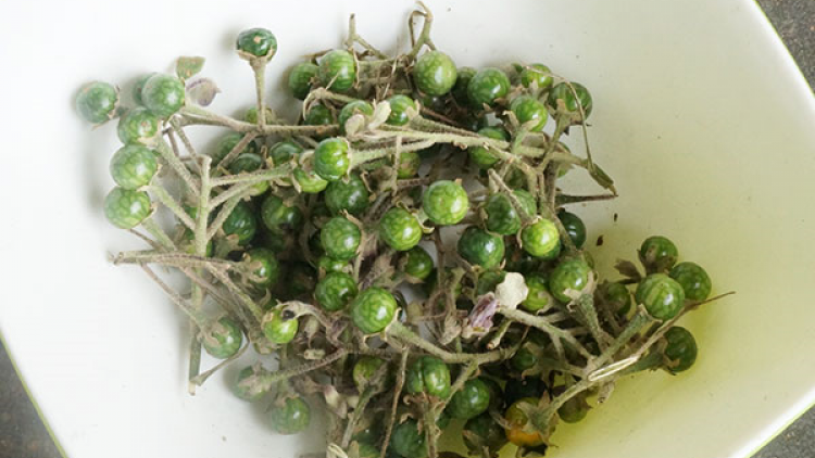 A`ăm trong ph^ kl^ kơbao gah djuai ania K’ho