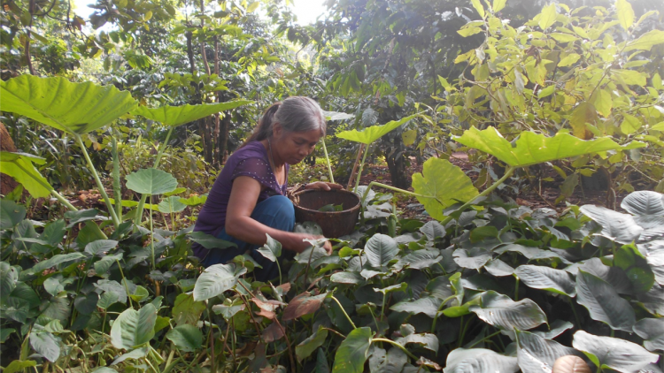 Ano# jơman pha ra mơng a`ăm hơbua dlai gah djuai ania Hơdang