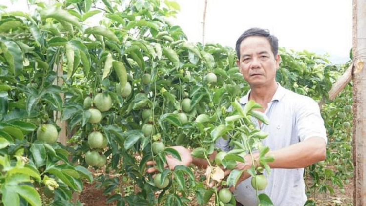 EVFTA: Ano\ tơnap hăng tơlơi gêh gal kơ bruă ngă hmua [ơi Gia Lai