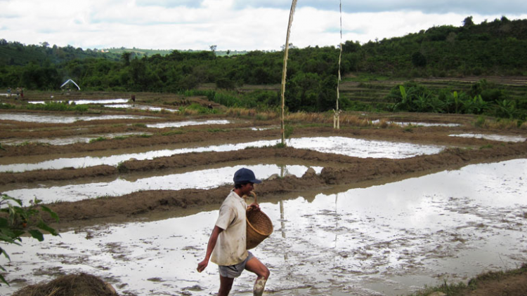 Tơlơi ngă yang gru đưm djuai ania K’ho Sre