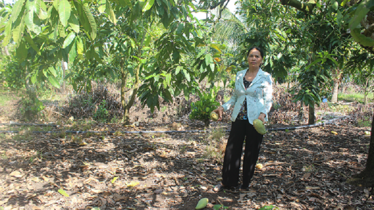 Dak Nông hơdôm rơtuh tơn boh pơ-ô̆ yuan tuh lui ƀu hơmâo pô blơi