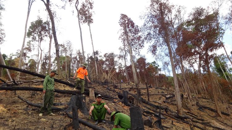 Ĕp tơlơi soh glăi, ƀong kông ngăn glai: Tơnap hăng gun či ƀơi?