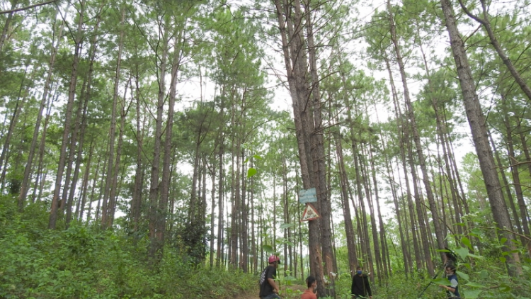 Kon Tum: Tơrgùm geh mờr 220 tơmàn đong priă drơng broă sền gàr brê