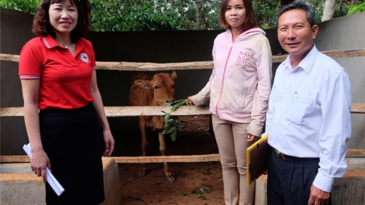 Tây Nguyên: geh rơlao 660 tơmàn priă ai ală broă lơh dong kờl nùs nhơm is