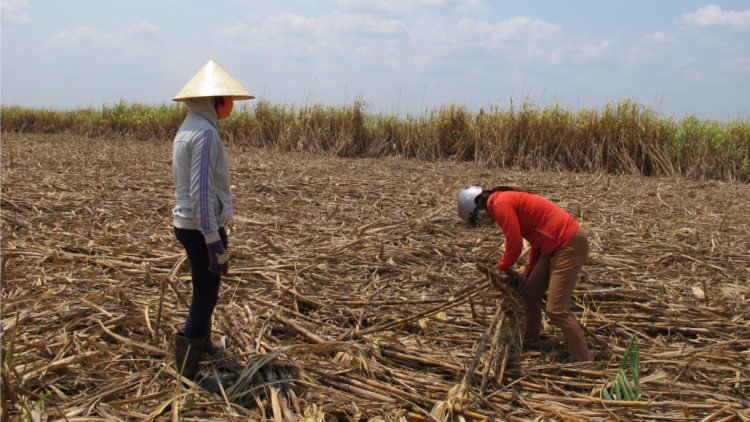 Jơnau cih dơ\ 2: ~chi bơh tài cau lơh broă sa ờ jat dà lơgar
