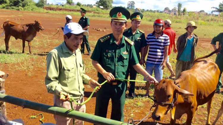 Dak Nông: Nùs nhơm đềt mềr tiah nhàr dà lơgar Dak Wil