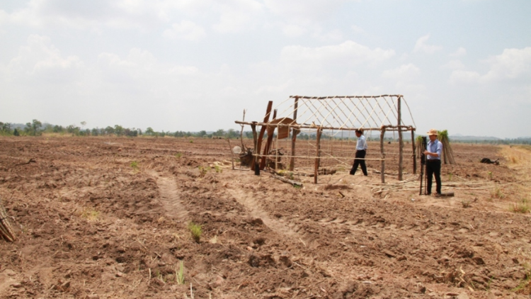 Sơlơ\u wơl ờ tơl ù lơh sa tàm Tây Nguyên