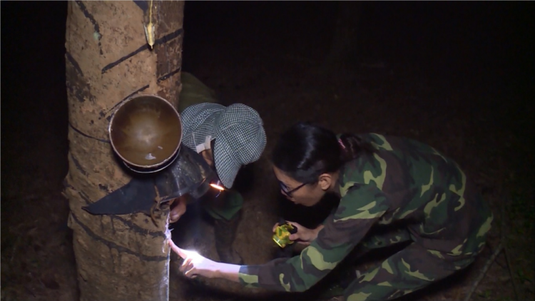 Bơ\t bơtàu nùs nhơm rcăng lài sền gàr dà lơgar tàm Tây Nguyên: Bơta àng Binh đoàn 15
