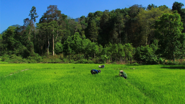 Pal mhar bơsong bơta gơ rơndil ù tàm brê dà lơgar Chư Mom Ray, càr Kon Tum