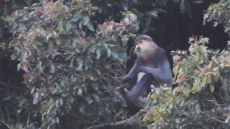 Càr Kon Tum go\ hoa chà vá jơng jù geh kuơ