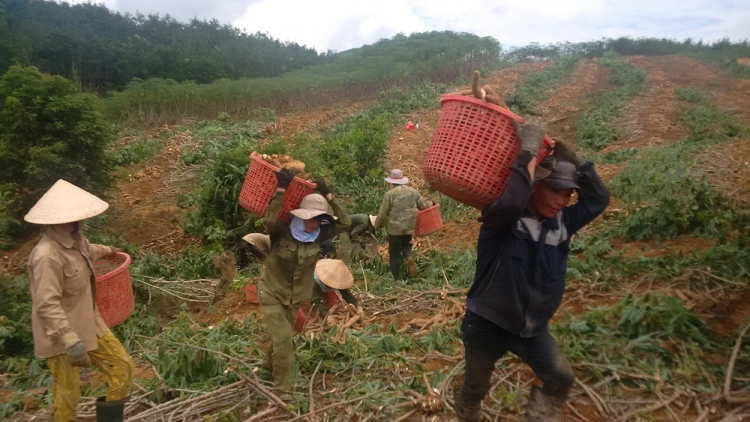 Kàl tơnhào bùm blàng pa tàm càr Kon Tum bal mờ nùs nhơm ờ su\k ơm