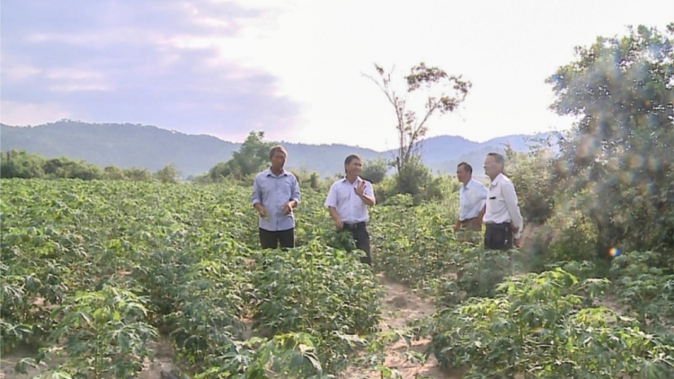 Gia Lai: di gơlan gơbàn kòp croan nha bùm blàng tàm uă tiah