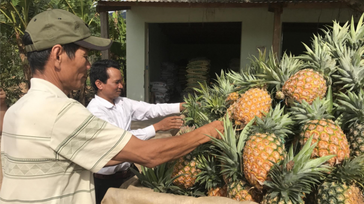 Dak Lak: Prìt sơkò gơmù khà priă tăc uă, làng bol sơbì  ờ p^c tơnhào