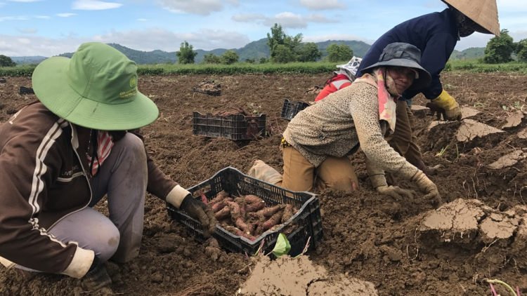 Dak Lak: Bùm lô Nhờk tac ờ yòm lơh cau tam ờ suk ngan